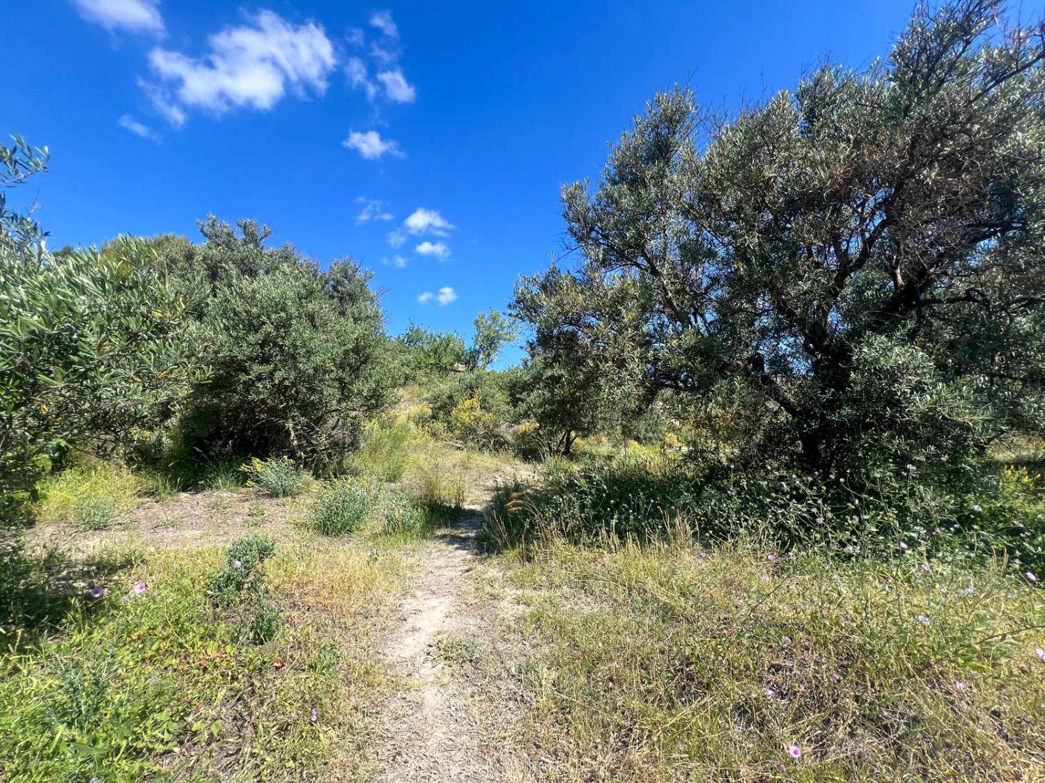 Maison de campagne spectaculaire à vendre à Guájar Alto