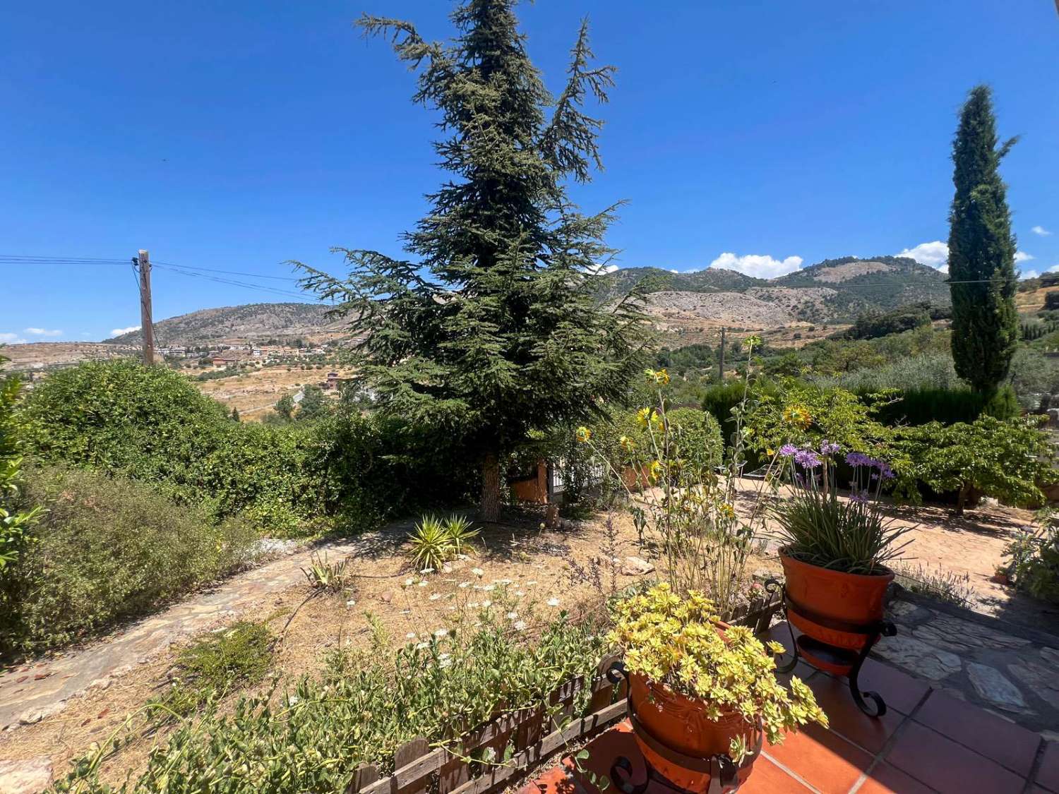 Chalet típico Andaluz en venta en Alfacar